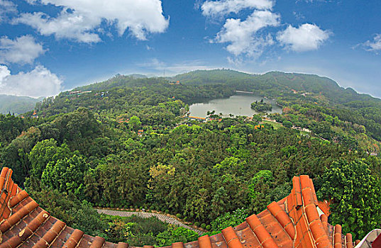 深圳仙湖植物园