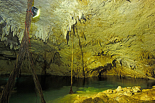 沼穴,洞状陷穴,隐藏,岩洞,公园,马雅里维拉,尤卡坦半岛,墨西哥