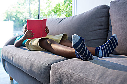 男孩,躺着,沙发,读,小说,窗户,在家,客厅