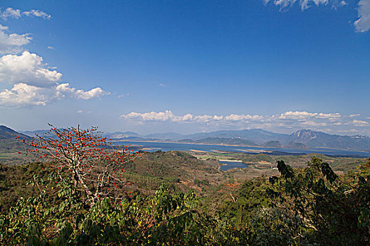 田园风光