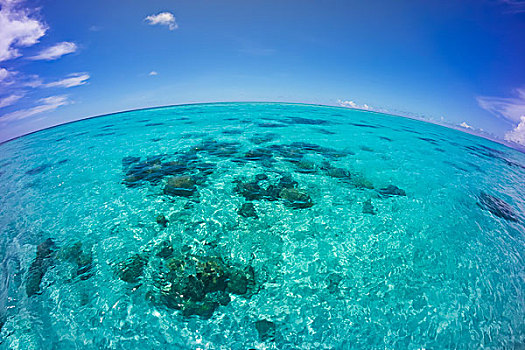 岛屿,鱼眼镜头,帕劳,密克罗尼西亚,大洋洲
