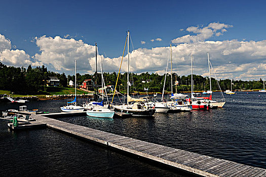 航行,船,码头,新斯科舍省,加拿大