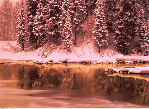 翡翠湖,冬天,幽鹤国家公园,不列颠哥伦比亚省,加拿大