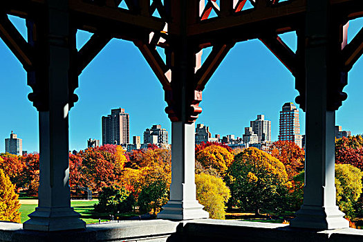 中央公园,秋天,市中心,天际线,曼哈顿,纽约