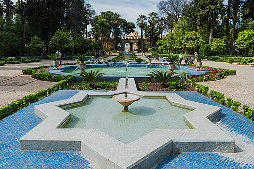 城市公园,喷泉,花,花园,摩洛哥,非洲