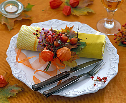 秋天,餐巾装饰,小,酸浆属植物,花束