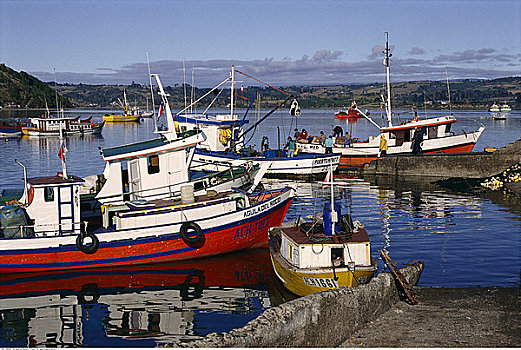 渔船,港口,智鲁岛,岛屿,智利,南美