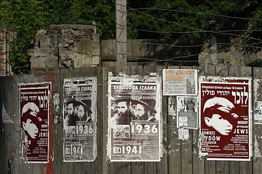 海报,犹太,地区