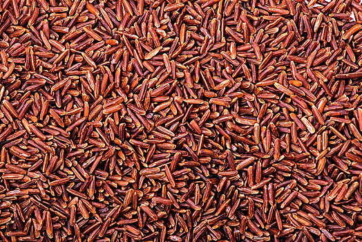 红米黑米小米粗粮