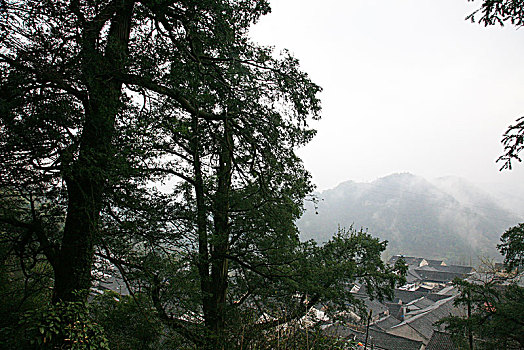 余姚大岚,丹山赤水,柿林村,茶场等