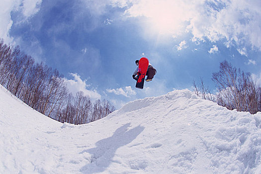 滑雪板