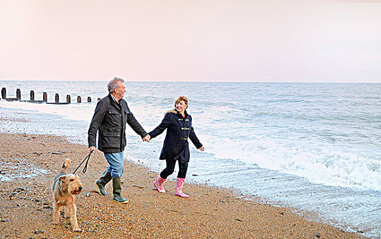 老年,夫妻,遛狗,海滩