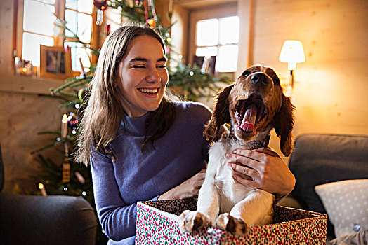 高兴,少女,哈欠,狗,圣诞礼物,盒子