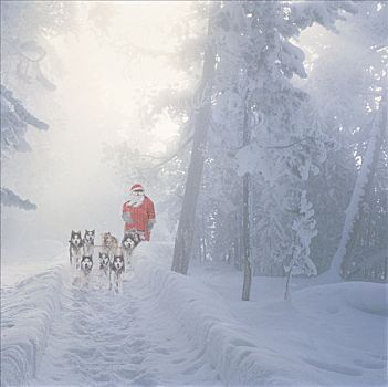 圣诞老人,狗队,冬天,数码合成,阿拉斯加