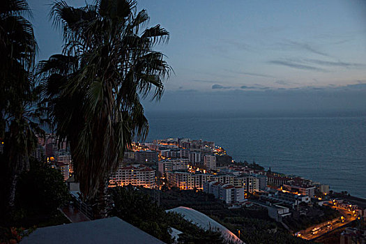 夜景,上方,丰沙尔,马德拉岛,葡萄牙,建筑,光亮,水,背景