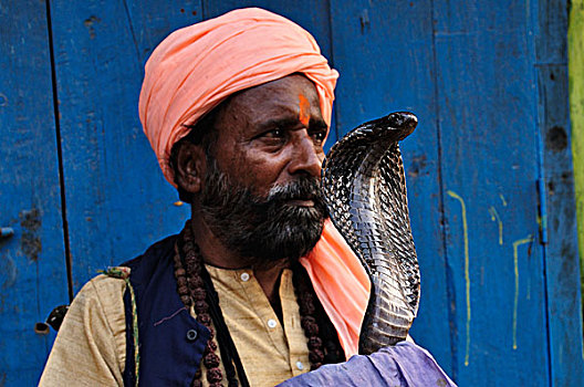 耍蛇,印度,眼镜蛇,瓦腊纳西,地区,北方邦