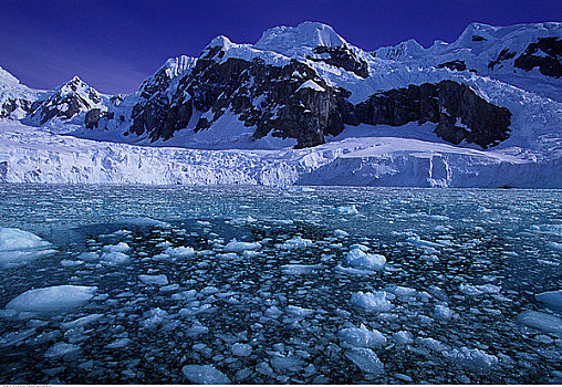 俯视,冰河,水,南极