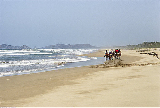 人,骑马,海滩,玛扎特兰,墨西哥
