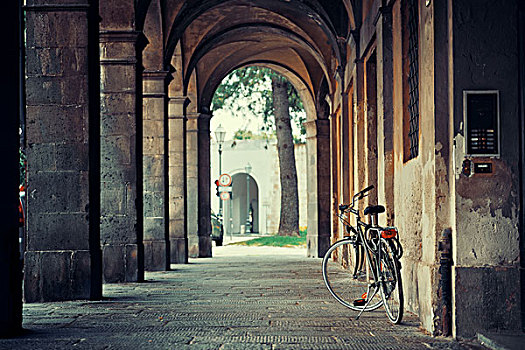 卢卡,街道,风景,自行车,走廊,意大利
