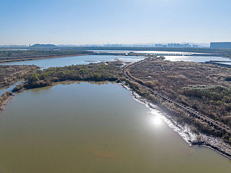 济南鹊山龙湖湿地