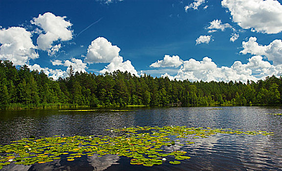 湖,爱沙尼亚
