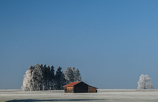 雪,乡村,冬季风景,晴空,太阳