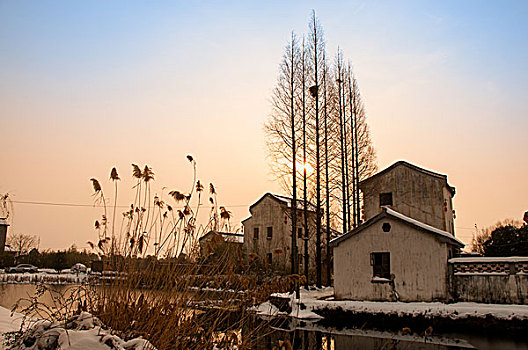 杨柳村冬雪