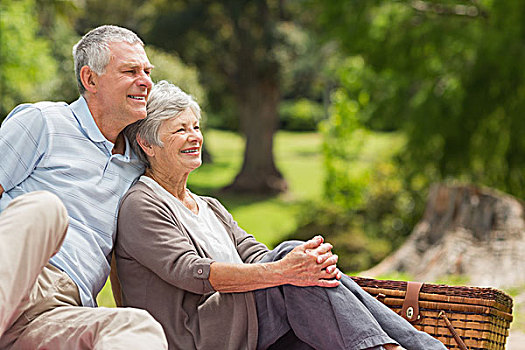 微笑,老年,夫妻,坐,野餐篮,公园