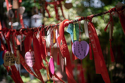 重庆奉节白帝城风光图