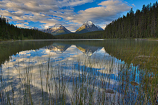 反射,云,湖,漩涡,顶峰,攀升,碧玉国家公园,艾伯塔省,加拿大