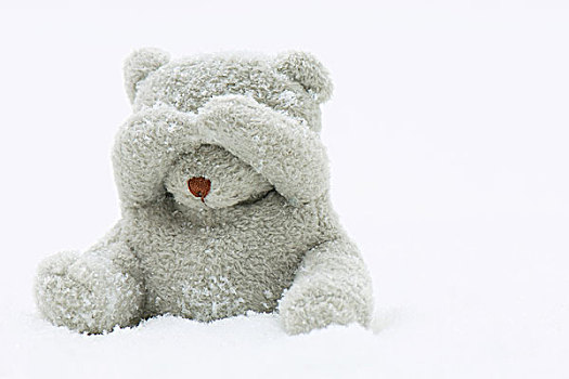 泰迪熊,坐,雪中,遮盖