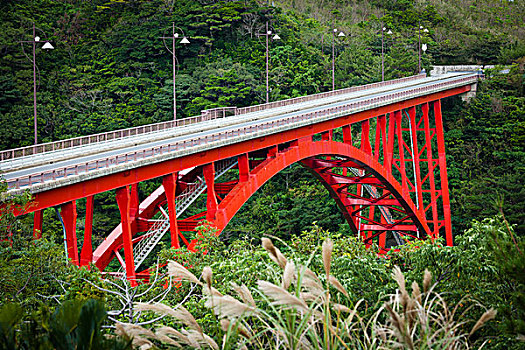 桥,岛屿,鹿儿岛,日本