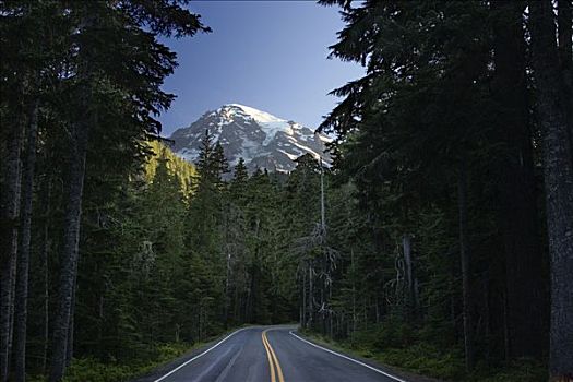 雷尼尔山,公路,雷尼尔山国家公园,华盛顿