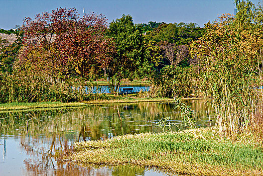 江苏省南京市紫金山景区湿地自然景观