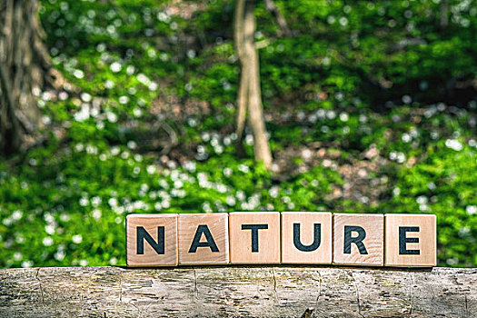 自然,签到,绿色,树林,春天
