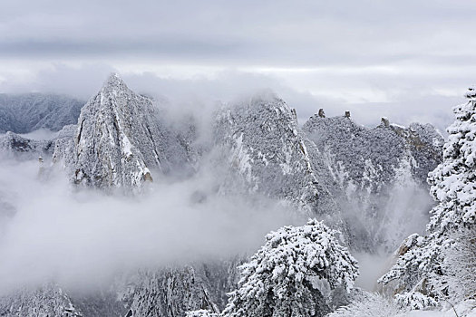 雪后华山宛如画