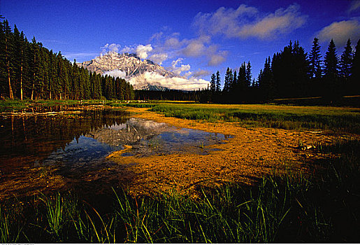 水塘,班芙国家公园,艾伯塔省,加拿大