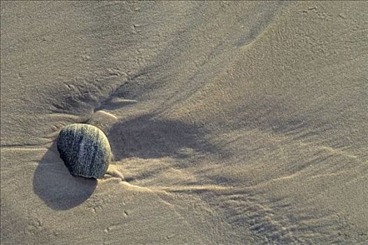 石头,沙子,海滩,靠近,斯特拉恩地区,塔斯马尼亚,澳大利亚