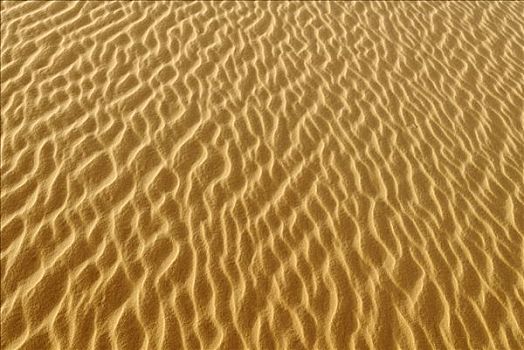 沙丘,波纹,锡,阿尔及利亚,撒哈拉沙漠,北非