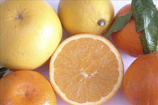 橙子,柚子,柠檬