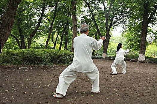 中国人,太极拳,户外