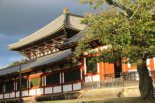 日本,东大寺