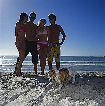 两个,年轻,情侣,站立,海滩,狗