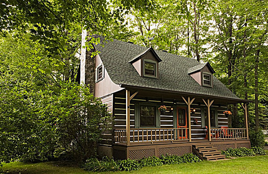 褐色,绿色,加拿大,屋舍,风格,原木,家