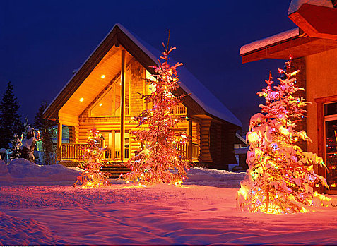 木屋,装饰,圣诞灯光,不列颠哥伦比亚省