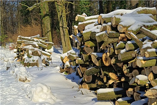 冬天,一堆,木头