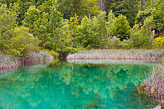 湖,十六湖国家公园,克罗地亚,欧洲
