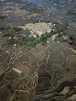 云南红河元阳哈尼梯田景色