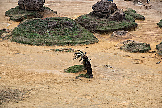 野柳风景