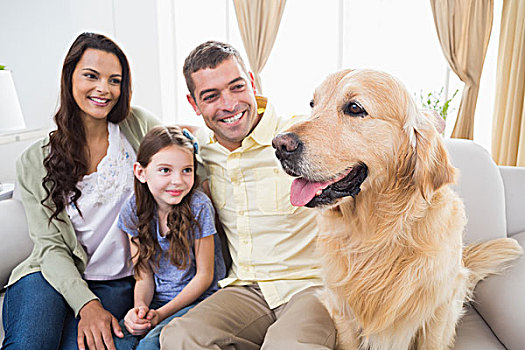 家庭,坐,金毛猎犬,沙发